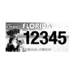 Partner - Florida 12345