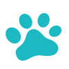paw